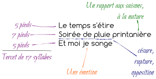 Eric Pintus | Stéphanie (Plan lecture)